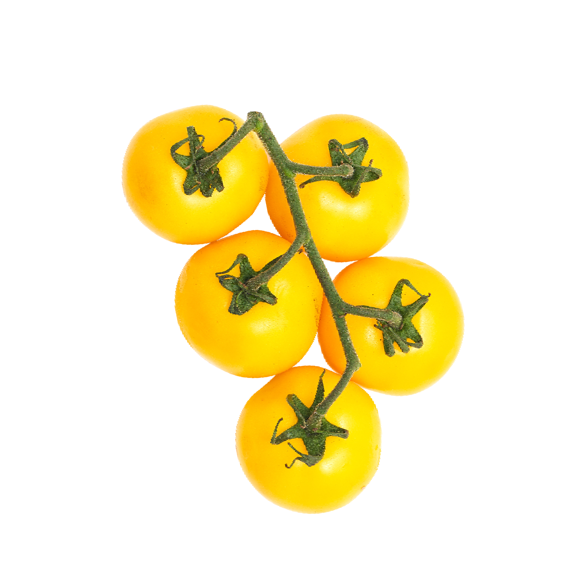 Yellow Tomatoes on-the-vine